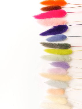 Beyaz arkaplanda çok renkli lagurular, üst görünümde, metin için boşluk. Dekor, hoş geldin kartı. Yüksek kalite fotoğraf