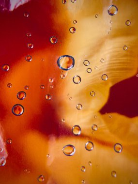 Bardakta güzel su damlaları. Arka plan çiçekleri. Yaz. Makro. Soyutlama. Yüksek kalite fotoğraf