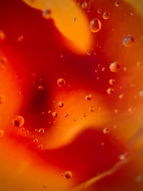 Kırmızı arka planlı cam üzerine su damlaları. Makro. Soyutlama. Yüksek kalite fotoğraf