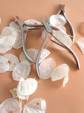 Kahverengi arka planda beyaz kabuklu manikür aletleri. Güzellik salonu, estetik. Yüksek kalite fotoğraf