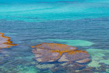 Sıcak ve güneşli bir günde Batı Avustralya 'daki Rottnest Adası kıyıları boyunca manzaralı su ve kayalar. Metin için alanı olan bir arkaplan dokusu için uygun.