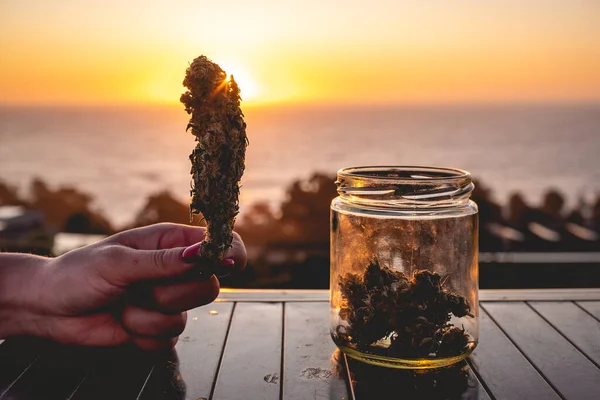 大きなマリファナの芽 雑草の頭 より多くのマリファナの芽を持つガラス瓶と美しい夕日の空と海を持つ赤い爪を持つ手 — ストック写真