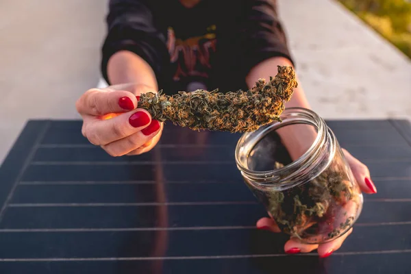 Ruce Červenými Nehty Velkým Marihuanovým Pupenem Plevele Skleněnou Sklenicí Více — Stock fotografie