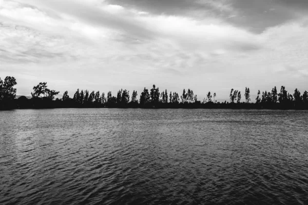 白纸黑字 在阴天的地平线上森林覆盖的大湖景 — 图库照片