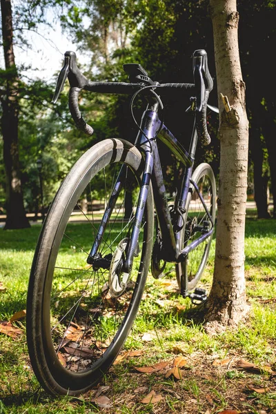 Details Reifen Speiche Und Gabel Eines Profi Fahrrads Park Einem — Stockfoto