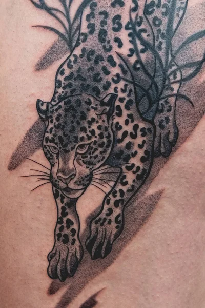 Gran Tatuaje Terminado Tigre Muslo Las Caderas Una Chica Después Imagen De Stock
