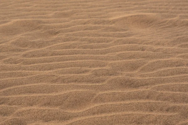 风中的耳语 阳光下沙漠沙丘沙质上迷人的图案 — 图库照片