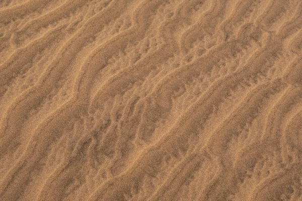 Пошепки Вітрі Захоплюючі Візерунки Пустельній Текстурі Дюни Під Сонячним Світлом — стокове фото