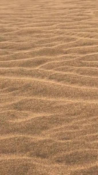Flüstern Wind Schwenken Faszinierender Muster Auf Einer Sandstruktur Aus Wüstendünen — Stockvideo