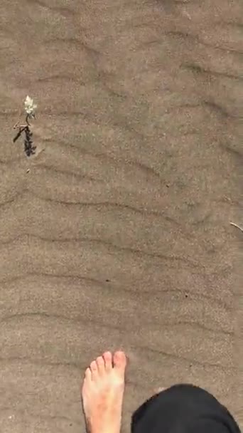 Nap Csókolta Sivatagi Kaland Ember Kényelmesen Sétál Homokos Dűnék Mezítláb — Stock videók