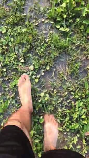 さわやかな自然の散歩 暖かい日差しの下で輝く淡水と緑豊かな緑の芝生を歩く人の素足 — ストック動画