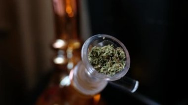 Rahatlatıcı esrar deneyimi: yemyeşil otlu şeffaf cam marihuana su nargilesine yakın çekim (4k)