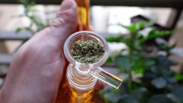 Relaksujące Doświadczenie Marihuany Zbliżenie Ręki Trzymającej Przezroczystą Szklaną Marihuanę Bongo — Wideo stockowe