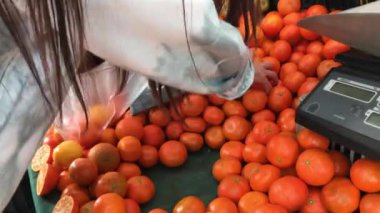 Latin Amerika pazar keşfi: kız güneşli bir günde sandıklardan renkli ve taze mandalina ve meyve topluyor
