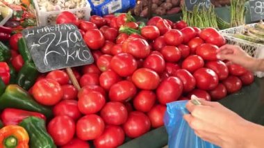 Latin Amerika pazar keşfi: kız güneşli bir günde sandıklardan taze domates ve sebze topluyor.
