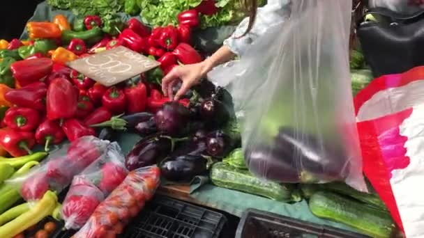 Eksploracja Rynku Ameryki Łacińskiej Dziewczyna Zbierająca Kolorowe Świeże Owoce Warzywa — Wideo stockowe
