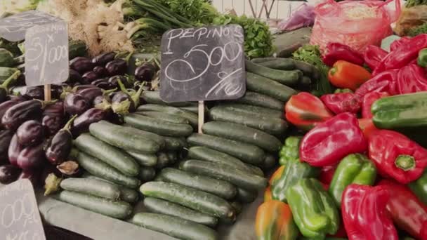 Latijns Amerikaanse Markt Exploratie Meisje Plukken Kleurrijke Verse Groenten Fruit — Stockvideo