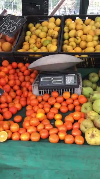ラテンアメリカの市場調査 晴れた日のクレートのカラフルで新鮮な果物と野菜 — ストック動画