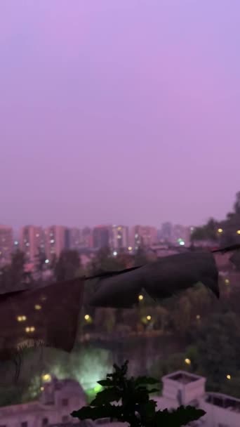 Повільний Рух Міський Захід Сонця Сантьяго Панорамний Вид Великими Прапорами — стокове відео