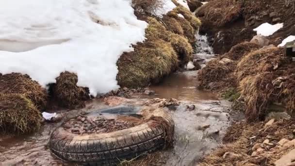 Grito Naturaleza Neumático Coche Invade Tranquila Escena Del Agua Clara — Vídeos de Stock
