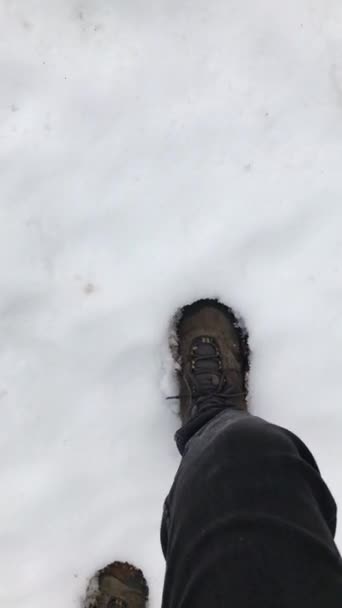 Caminata Invierno Viaje Solitario Través Nieve Profunda Pasos Primera Persona — Vídeos de Stock