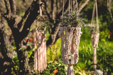 Sanatsal ve el yapımı: Karmaşık elle düğümlenmiş pamuk kumaş dekorasyonu doğal ortamdaki bir ağaçtan sallanıyor