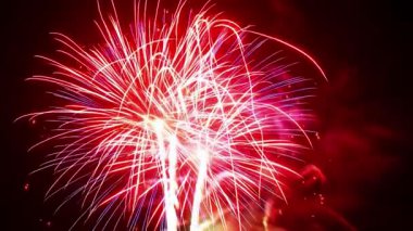 New Jersey, ABD 'de havai fişek gösterisi