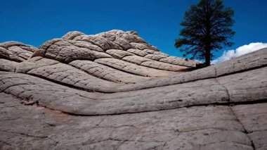 Beyaz cepte eşsiz kumtaşı oluşumu, vermilion uçurumları ulusal anıt, Arizona, ABD.