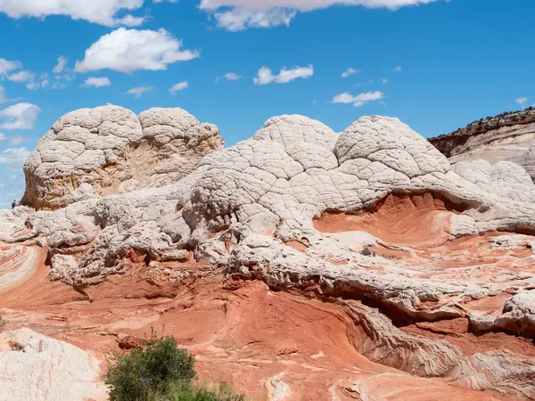 Beyaz cepte eşsiz kumtaşı oluşumu, vermilion uçurumları ulusal anıt, Arizona, ABD.