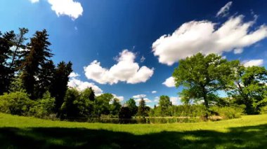 New Jersey, ABD 'de güzel bulutlu bir doğa parkının zamanı.