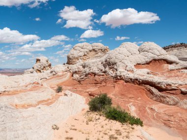 Beyaz cepte eşsiz kumtaşı oluşumu, vermilion uçurumları ulusal anıt, Arizona, ABD.