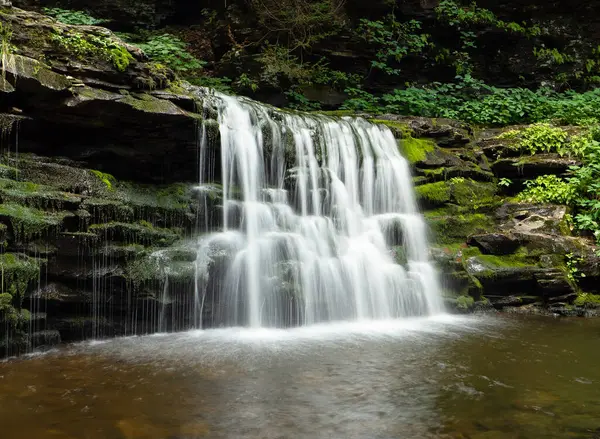 ABD 'deki NJ eyalet parkına su döküldü.