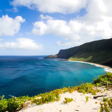 Güzel Hawaii plajı ve uçurumlarının bir çizimi