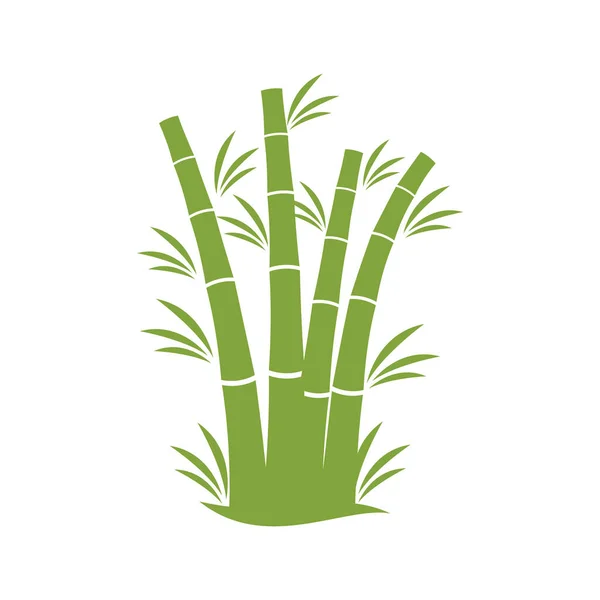 Шаблон Логотипом Бамбукового Дерева — стоковый вектор