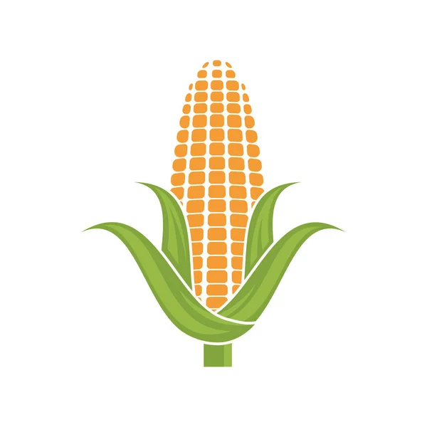stock vector Corn logo illustration vector flat design template