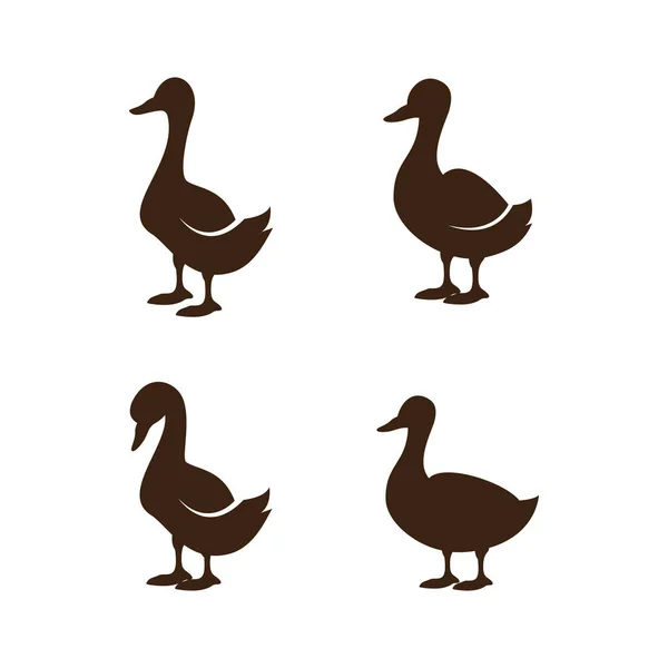 Duck Logo Vecteur Ilustration Icône Plat Modèle Conception — Image vectorielle