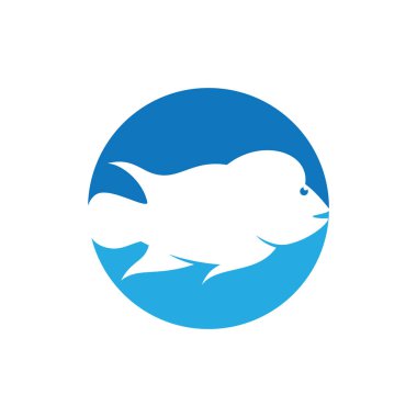 Louhan fish illustration flat design template vector