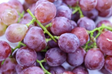 Beyaz arkaplanda bir demet üzüm