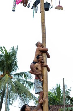 Kebumen Endonezya, 17 Ağustos 2022: Panjat Pinang yarışması, Panjat Pinang geleneksel Endonezya Bağımsızlık Günü kutlamaları.