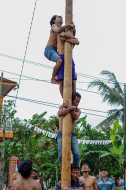 Kebumen Endonezya, 17 Ağustos 2022: Panjat Pinang yarışması, Panjat Pinang geleneksel Endonezya Bağımsızlık Günü kutlamaları.