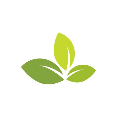 Green leaf illustration nature logo flat design template