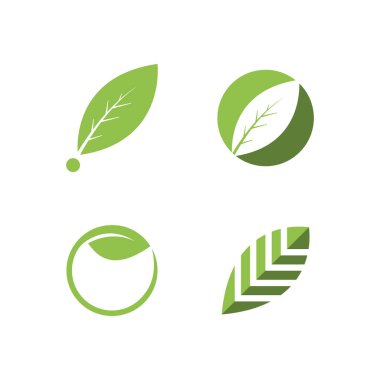 Green leaf illustration nature logo flat design template