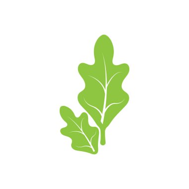 Marul illüstrasyon simgesi düz tasarım