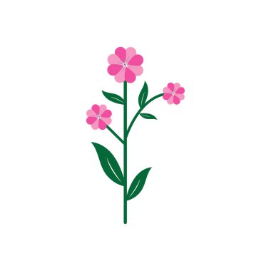Güzellik Çiçek Çiçeği çiçek vektör tasarımı