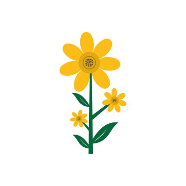 Güzellik Çiçek Çiçeği çiçek vektör tasarımı