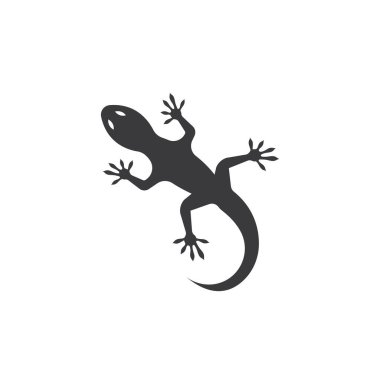 Gecko logo simgesi vektör şablonu