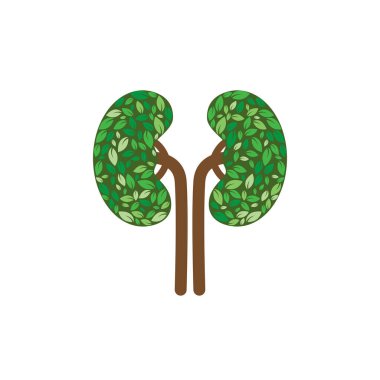 Böbrek şekilli oluşumlar yeşil yapraklar ve kahverengi saplar minyatür organlar oluşturur..