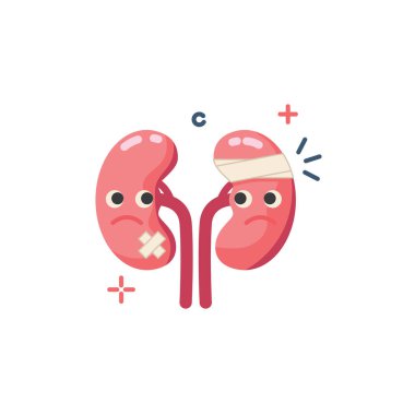 Böbrek sorunu. İki karikatür böbreği acilen tıbbi müdahale gerektiriyor..