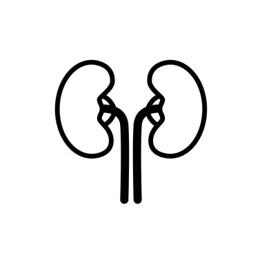 İnsan böbreklerinin ve kan damarlarının resmi.