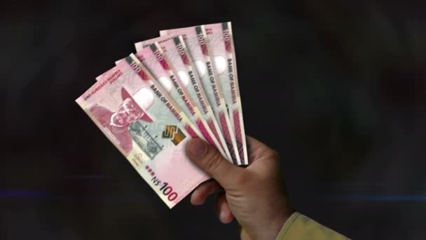 Namibia Dollar Money Holding Fan Banknotes Hand Nad Paper Cash — Stock videók